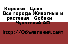 Корсики › Цена ­ 15 000 - Все города Животные и растения » Собаки   . Чукотский АО